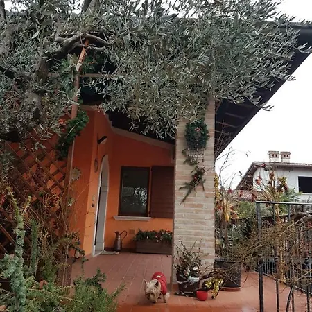 Doni Del Garda Manerba del Garda